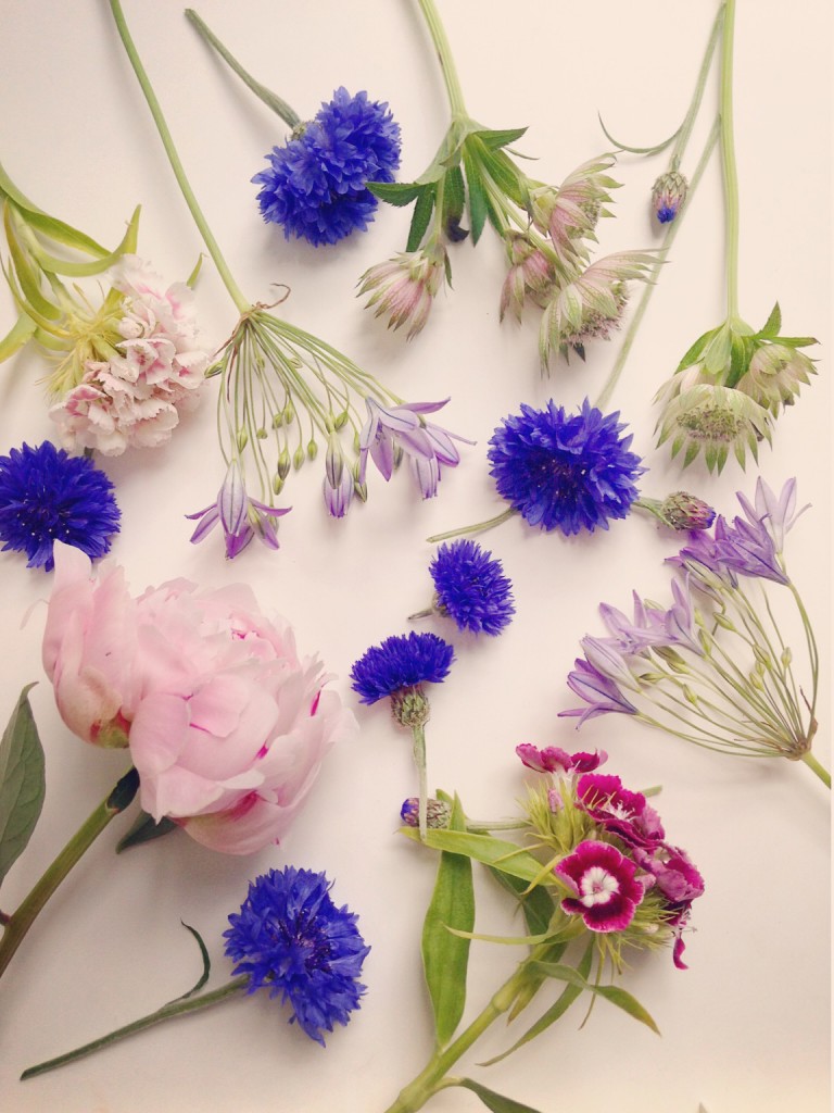 Download British Flower Cuttings 768x1024 Joanne Truby Floral Design